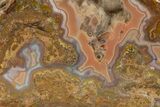 Polished Berber Agate Section - Sidi Rahal, Morocco #324030-1